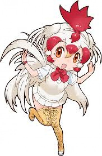 Chicken
