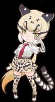 Clouded Leopard portrait