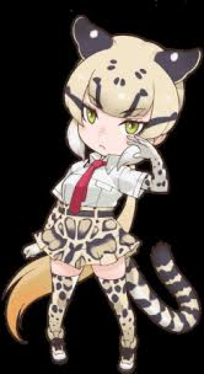 Clouded Leopard