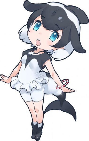 Commerson's Dolphin