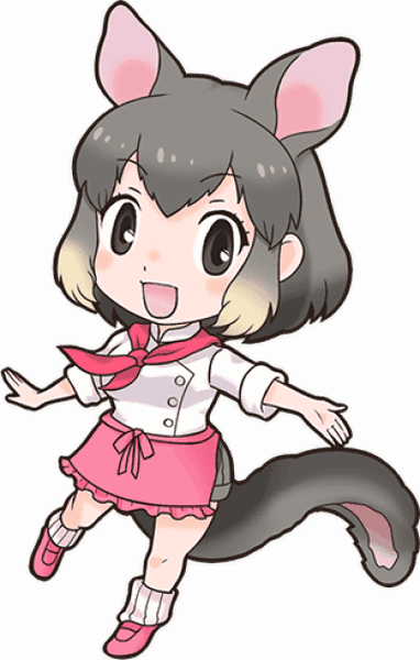 Common Brushtail Possum