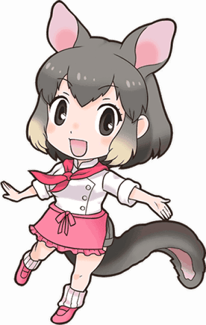 Common Brushtail Possum