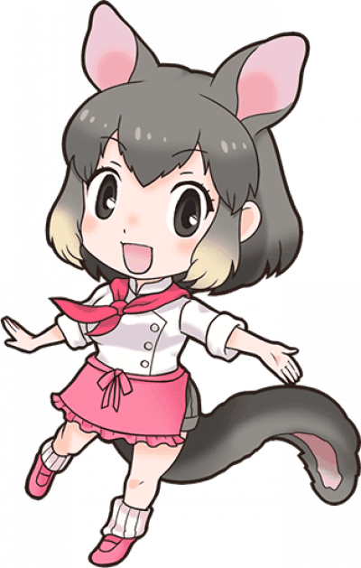 Common Brushtail Possum