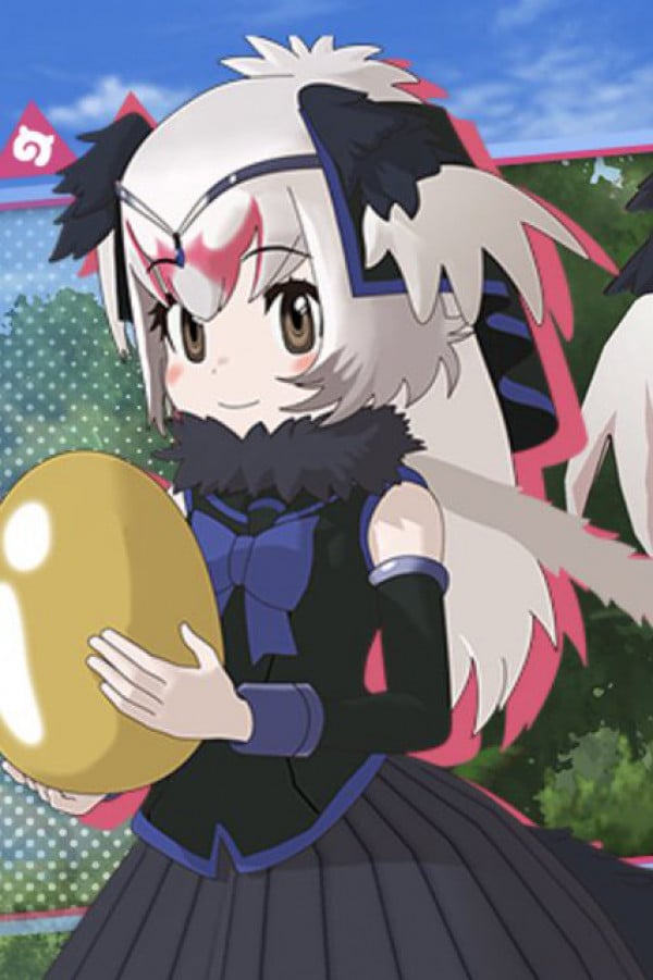 Display picture for Common Ostrich