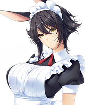 Kikyou Shirakomachi