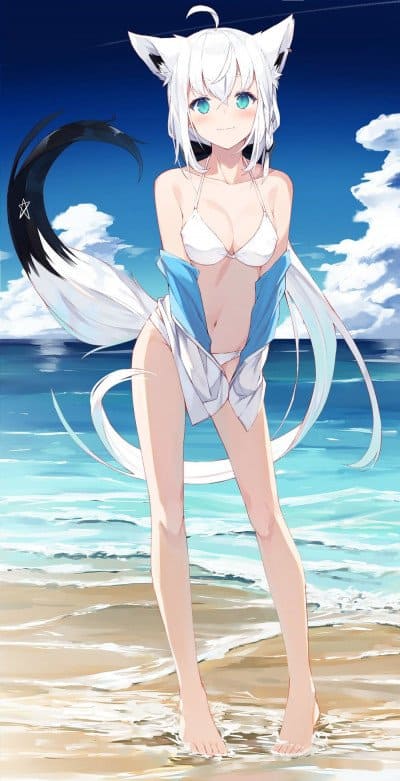Display picture for Fubuki Shirakami