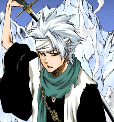 Display picture for Toshiro Hitsugaya