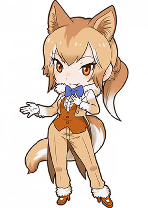 Dingo