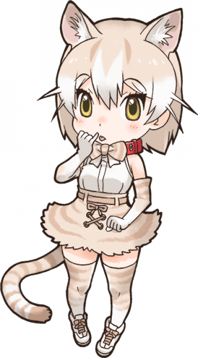 Domestic Cat