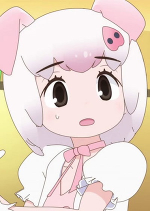 Domestic Pig