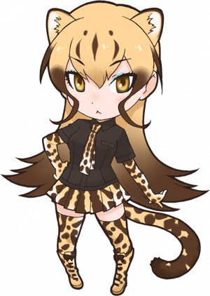 King Cheetah