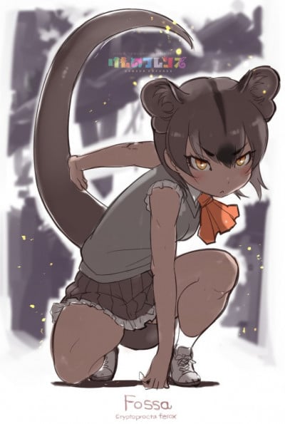 Display picture for Fossa
