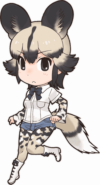 African Wild Dog