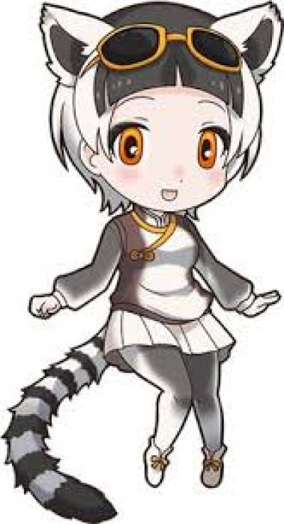 Ring Tailed Lemur