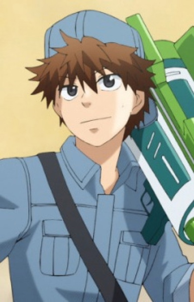 B Cell