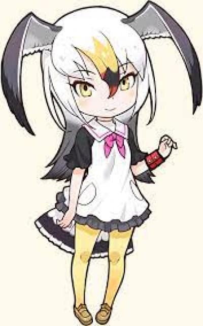 Display picture for Black-Tailed Gull