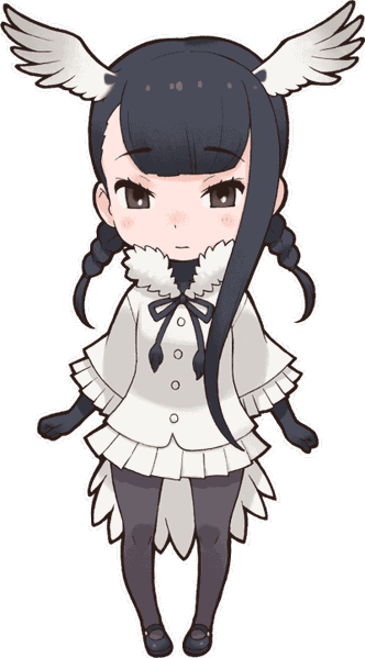 Black-Headed Ibis