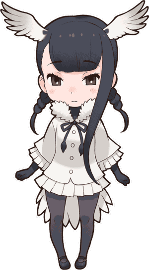 Black-Headed Ibis