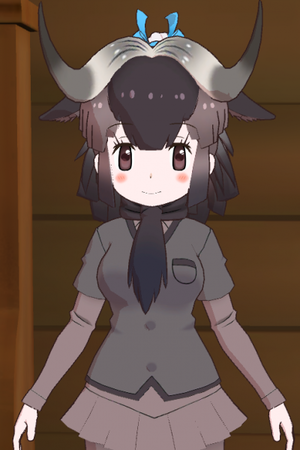 Black Wildebeest