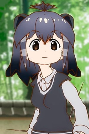 Crested Porcupine