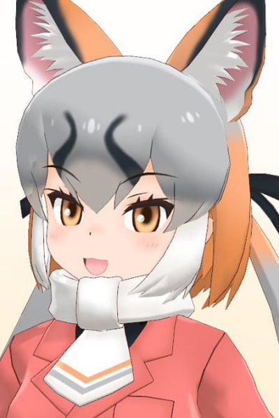 Display picture for Gray Fox
