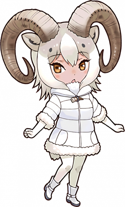 Display picture for Dall Sheep