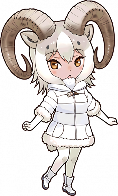 Dall Sheep