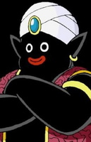 Mr. Popo portrait