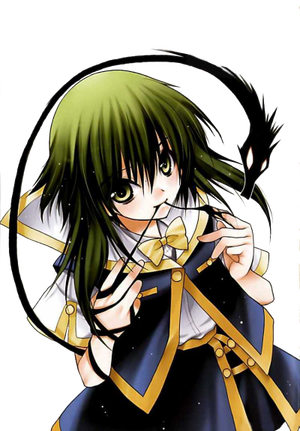 Seine Miyazaki