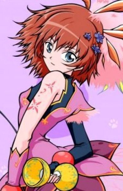 Rosetta Passel