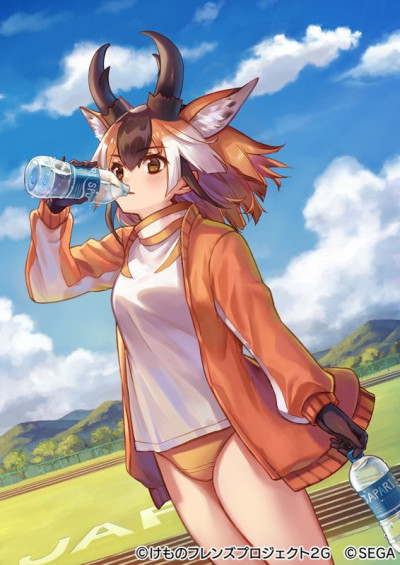 Pronghorn