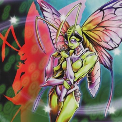 Insect Princess