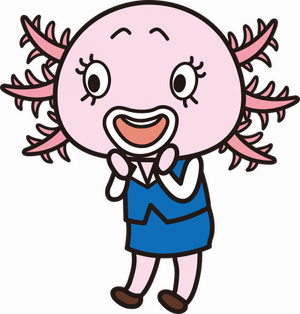 Natsuko Yokosawa