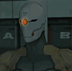Gray Fox