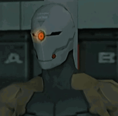 Gray Fox