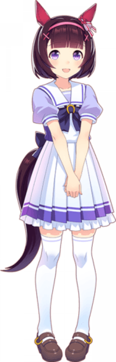 Nishino Flower