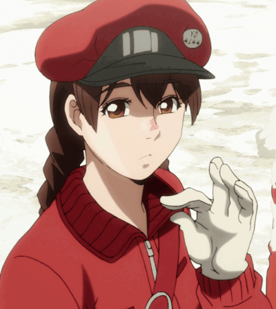 Display picture for YO4144