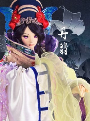 Dan Fei