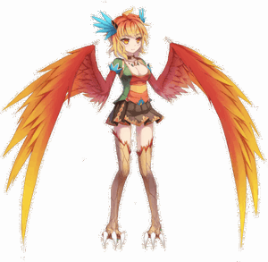 Bima