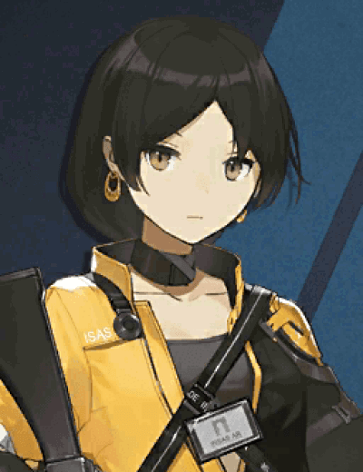Display picture for INSAS