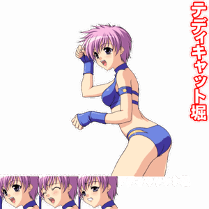 Teddy Cat Hori