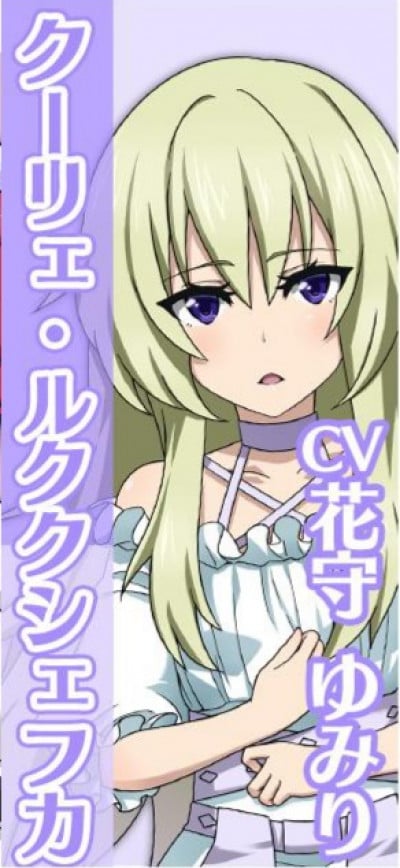 Display picture for Currier Luccukchefka