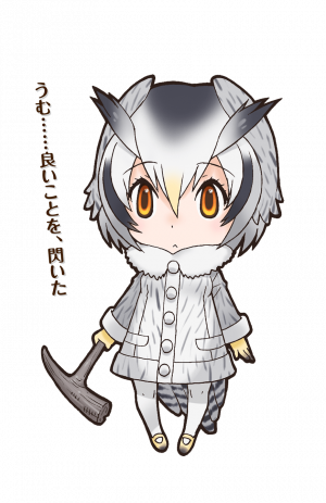 Northern White-faced Owl