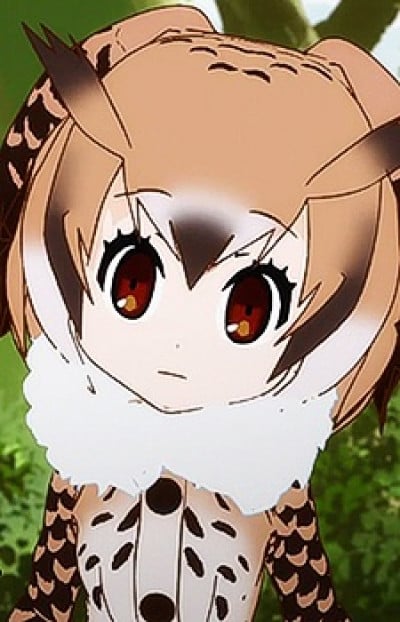 Display picture for Eurasian Eagle-owl