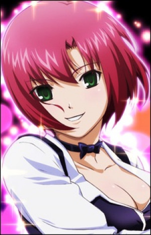 その他 Rio rainbow gate! character fan book Rio: Rainbow Gate! Rio Rainbow Gate! Character Fan Book - Solaris