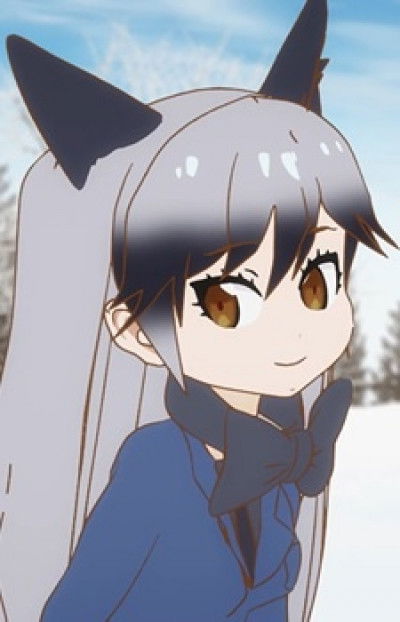 Display picture for Silver Fox