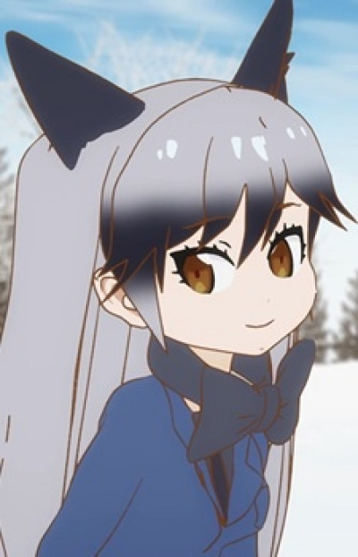 Silver Fox