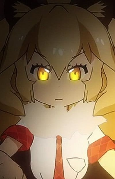 Display picture for Lion