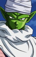 Piccolo portrait