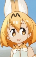 Serval portrait